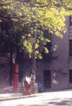 NEW-YORK PHOTO