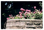2001june06.html