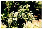2002apr_305.html