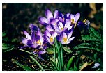 2002mart_10.html